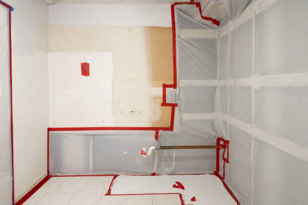 Best Emergency Mold Remediation  in Belen, NM