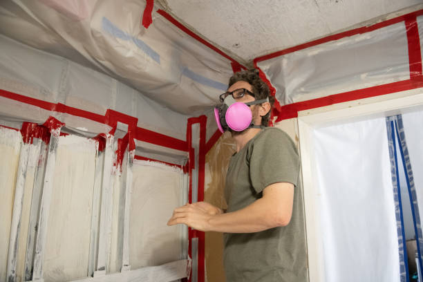 Best Commercial Mold Inspection  in Belen, NM