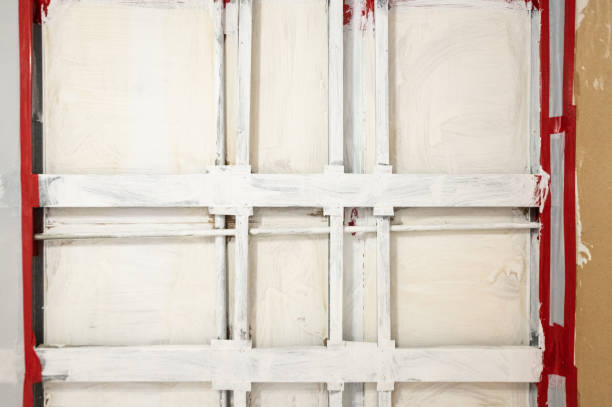 Best Forensic Mold Investigation  in Belen, NM