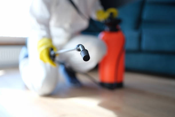 Best Airborne Mold Testing  in Belen, NM
